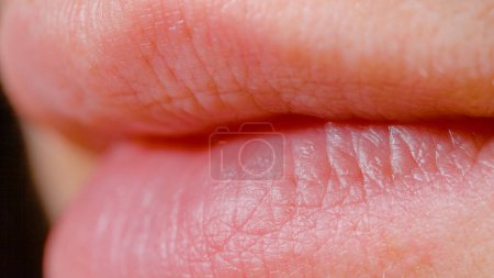Foto de MACRO, DOF: Young Caucasian female's soft mouth viewed from up close. High definition close up view of an unrecognizable woman's beautiful healthy lips. Delicate white woman's healthy pink lips. - Imagen libre de derechos