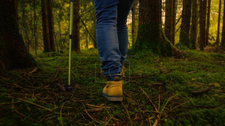 Photo for LOW ANGLE, CLOSE UP: Unrecognizable senior woman treks with poles around the lush green forest. Elderly woman wearing jeans uses trekking poles to explore the serene woods. Exploring the lush forest - Royalty Free Image