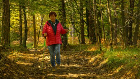 Foto de Retired Caucasian female listening to podcast while walking around the woods. Elderly woman listens to music while exploring the lush autumn colored forest. Senior lady trekking in nature. - Imagen libre de derechos