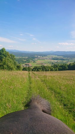 Téléchargez les photos : VERTICAL, POV: Shot of the empty meadow and the picturesque countryside behind you while riding a chestnut horse. Close up shot of a thoroughbred's rear while trotting along an empty meadow trail. - en image libre de droit