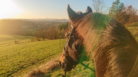 Foto de POV, LENS FLARE: Brown horse gazes at the sunset while exploring the countryside with its rider. Picturesque shot of the nature as you ride your purebred horse across the pasture on a sunny evening. - Imagen libre de derechos