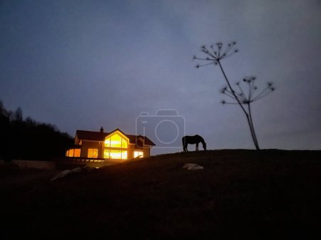 Foto de SILHOUETTE: Scenic shot of a horse pasturing at night near an illuminated country house. Bright lights emanating from a large house in the quiet countryside illuminate a lone horse grazing at night. - Imagen libre de derechos
