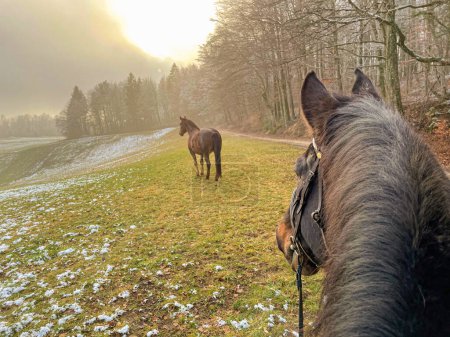 Téléchargez les photos : POV: Riding a horse along the edge of a snowy meadow on a foggy winter morning. Chestnut colored stallion gazes at the sunrise while exploring the misty countryside. Horseback riding at winter sunset. - en image libre de droit