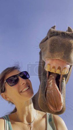 Foto de Female horseback rider smiles and laughs into the camera with her adorable chestnut stallion. Funny shot of a happy young Caucasian woman smiling with her big brown horse - Imagen libre de derechos