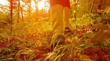 Téléchargez les photos : LOW ANGLE, CLOSE UP, LENS FLARE: Cinematic shot of girl in boots running in the fall colored woods. Energetic young woman wearing yellow rubber boots runs in idyllic forest changing colors in autumn. - en image libre de droit
