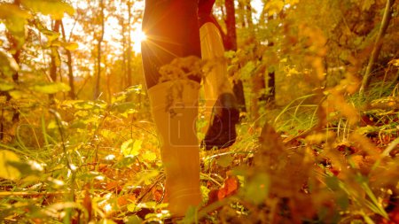 Photo for LENS FLARE, LOW ANGLE, CLOSE UP: Woman wearing yellow rubber boots runs in idyllic forest changing colors in autumn. Cinematic shot of unrecognizable girl in boots running in the fall colored woods. - Royalty Free Image