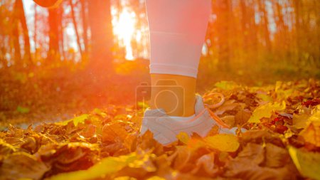Photo for LENS FLARE, CLOSE UP, LOW ANGLE: Athletic woman kicks up fallen leaves while jogging in woods on beautiful autumn evening. Unrecognizable female jogger runs along forest trail covered in dry leaves. - Royalty Free Image