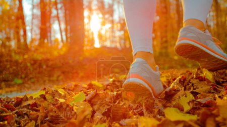 Foto de LENS FLARE, CLOSE UP, LOW ANGLE: Female jogger runs along an empty forest trail covered in dry leaves. Athletic woman kicks up fallen leaves while jogging in the woods on beautiful autumn evening. - Imagen libre de derechos