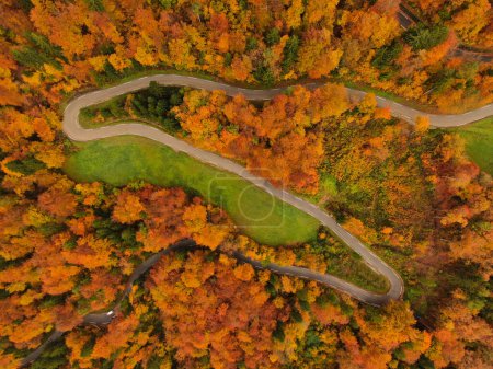 Foto de TOP AERIAL DOWN: Escénica vista del dron de una carretera que serpentea a través del bosque cambiando de color en otoño. Volando por encima de la carretera del país switchback cruzando el bosque de color otoño girando hojas a mediados de septiembre - Imagen libre de derechos