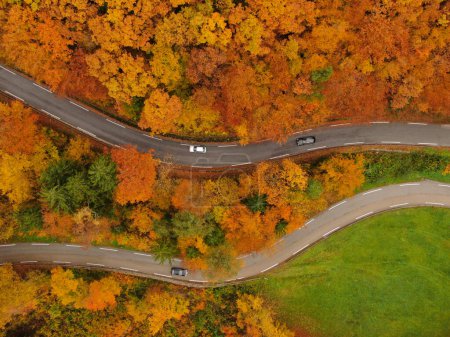 Téléchargez les photos : AERIAL, TOP DOWN: Flying above tourist cars driving down an asphalt road crossing a colorful forest in the idyllic Slovenian countryside. Cars cruising around the woods changing colors in November. - en image libre de droit