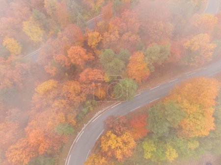 Foto de AERIAL, TOP DOWN: Volando a lo largo de un camino forestal pintoresco vacío en una mañana de otoño brumosa. Punto de vista del dron de una ruta de asfalto vacía serpenteando a través de los hermosos bosques de hoja caduca girando en otoño. - Imagen libre de derechos