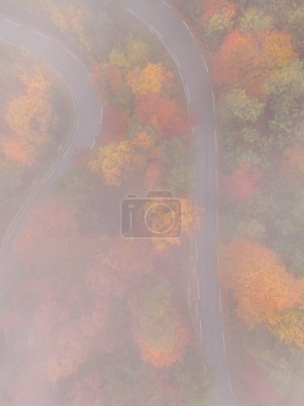 Foto de VERTICAL, AERIAL, TOP DOWN: Drone point of view of an empty asphalt route winding through the deciduous woods turning leaves in fall. Flying along an empty scenic forest road on a foggy autumn morning - Imagen libre de derechos