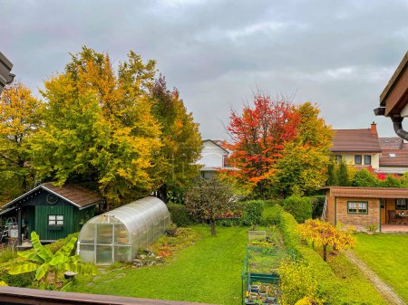 Foto de Idyllic shot of people's vibrantly colored backyards on a cloudy autumn day in the peaceful suburbs. Deciduous tree leaves are changing colors in the tranquil gardens of suburban neighborhood houses. - Imagen libre de derechos