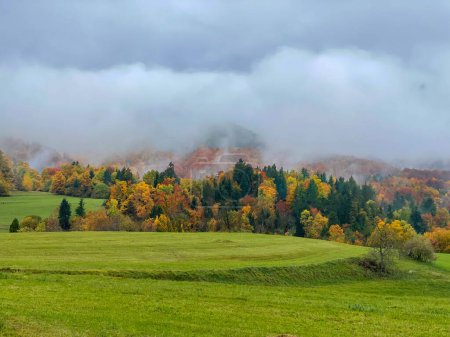 Foto de A thick layer of mist covers the idyllic autumn colored forest and a lush green meadow in the picturesque Slovenian countryside. Scenic shot of the beautiful rural landscape on a foggy October day. - Imagen libre de derechos