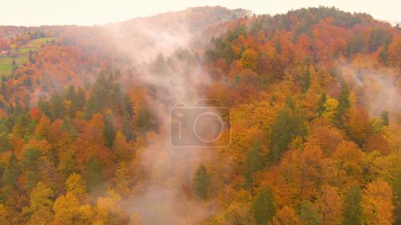 Téléchargez les photos : Breathtaking drone point of view of rural hills in Slovenia turning leaves in the foggy days of October. Flying up a colorful hill covered by deciduous trees changing their colors in autumn. - en image libre de droit