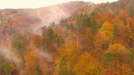 Téléchargez les photos : Flying up a colorful hill covered by deciduous trees changing their colors in autumn. Breathtaking drone point of view of rural hills in Slovenia turning leaves in the foggy days of October. - en image libre de droit