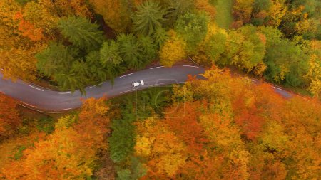 Téléchargez les photos : Two cars cruise along empty road leading through the forest changing leaves on a misty day in October. Drone shot of tourist cars driving around the vivid autumn colored Slovenian countryside. - en image libre de droit