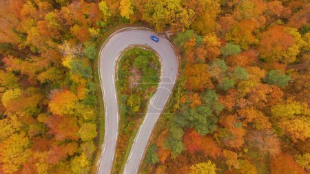 Téléchargez les photos : Metallic blue car drives into a sharp hairpin turn of a scenic switchback road crossing a fall colored forest. Drone shot of a car exploring the woods changing colors in autumn. - en image libre de droit