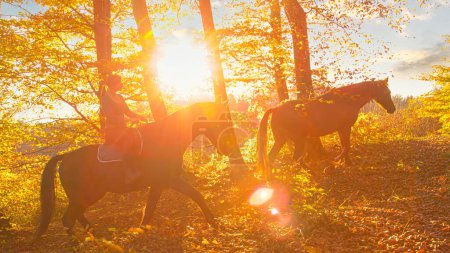 Foto de FLARE DE LA LENTE: La mujer explora el bosque de colores otoñales con sus caballos en el idílico amanecer dorado en octubre. Foto idílica de una joven jinete explorando el bosque en una soleada mañana de otoño. - Imagen libre de derechos