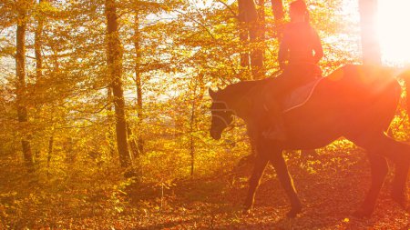Téléchargez les photos : LENS FLARE, COPY SPACE: Young female horseback rider explores the woods at golden autumn sunset. Woman rides her chestnut horse on sunny fall evening. Female rider leads her horse along a forest trail - en image libre de droit