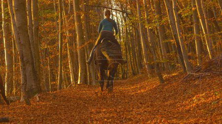 Foto de Female horseback rider gallops on her horse down a forest path covered in crunchy dry leaves. Unrecognizable young woman rides her horse along an empty trail in the picturesque golden lit woods. - Imagen libre de derechos