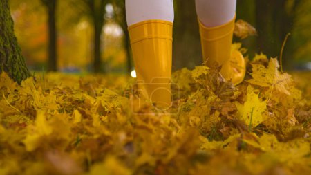 Téléchargez les photos : LOW ANGLE, CLOSE UP, DOF: Unrecognizable woman wearing yellow rubber boots kicks up dry fall colored leaves covering a grassy trail. Young female wearing boots strolling around the park in autumn. - en image libre de droit
