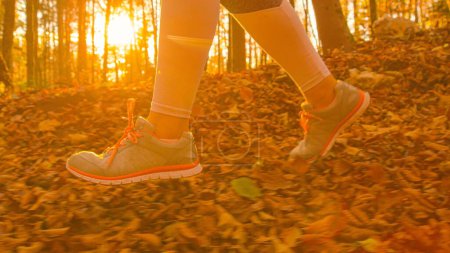 Foto de LOW ANGLE, CLOSE UP, LENS FLARE: Cinematic shot of a female jogger exploring the fall colored woods. Unrecognizable young fit woman jogs along a forest trail illuminated by the setting autumn sun. - Imagen libre de derechos
