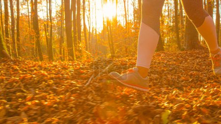 Photo for LOW ANGLE, CLOSE UP, LENS FLARE, COPY SPACE: Golden fall evening sunbeams shine on female jogger exploring the vibrant woods. Scenic shot of a woman's legs as she runs along a leaf covered trail. - Royalty Free Image
