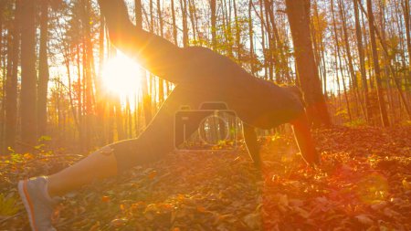 Téléchargez les photos : LENS FLARE, LOW ANGLE: Fit young woman running through the fall colored woods at sunset trips and falls into heap of leaves. Unrecognizable female jogger stumbles to ground while running in forest. - en image libre de droit