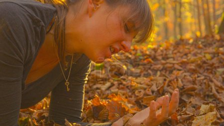 Téléchargez les photos : CLOSE UP, DOF: Female jogger holds her injured wrist after tripping and falling during her morning jog in the picturesque autumn colored woods. Caucasian woman hurts her arm while jogging in forest. - en image libre de droit