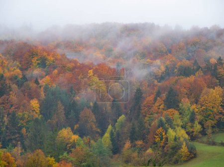 Photo for AERIAL: Morning mist covering tree tops of a stunning autumn forest. Beautiful colorful forest with burning turning leaves on misty autumn day. Mysterious woods with vibrant tree canopies in fall - Royalty Free Image