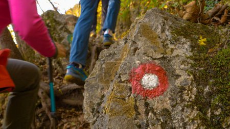 Foto de CERRAR, DOF: Círculos rojos y blancos muestran el camino a los excursionistas adultos irreconocibles que caminan cuesta arriba en un día soleado de otoño. La gente en una divertida caminata por el bosque pasa por una roca que lleva un símbolo de senderismo.. - Imagen libre de derechos