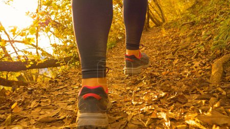 Foto de LOW ANGLE, CLOSE UP, DOF: Unrecognizable fit young woman wearing black leggings hikes up an empty forest hiking trail on an idyllic autumn day. Athletic female hiker exploring the fall colored woods. - Imagen libre de derechos