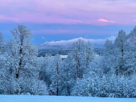 Téléchargez les photos : Breathtaking pink hued winter morning sky spans above idyllic white rural landscape. Picturesque shot of the wintry countryside at sunrise after an intense blizzard. Winter fairytale in Slovenia. - en image libre de droit