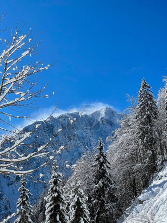 Téléchargez les photos : VERTICAL: Strong winds sweep the fresh snow off the mountaintop in Julian Alps. Scenic shot of the windswept peak of a mountain in the Slovenian Alps. Breathtaking wintry wilderness on a sunny day. - en image libre de droit