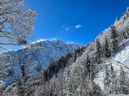 Foto de Strong December winds sweep the fresh snow off the mountaintop of a ridge in the beautiful Julian Alps. Scenic shot of the windswept peak of a mountain and the snowy coniferous forest in Slovenia. - Imagen libre de derechos