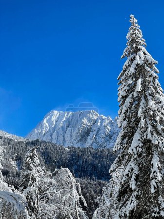 Téléchargez les photos : VERTICAL: Scenic shot of the windswept peak of a mountain in the Slovenian Alps. Strong winds sweep the fresh snow off the mountaintop in Julian Alps. Breathtaking wintry wilderness on a sunny day. - en image libre de droit