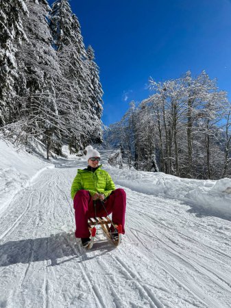 Foto de VERTICAL: Tourist on an active vacation in the Alps speeds down a steep slope on her vintage wooden sleds. Cheerful young Caucasian woman sleds down a groomed slope in the Alps on a sunny winter day. - Imagen libre de derechos