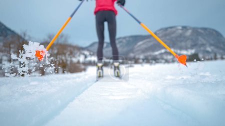 Téléchargez les photos : LOW ANGLE, CLOSE UP, DOF: Blurry shot of unrecognizable female athlete trains nordic skiing. Woman nordic skiing pushes off poles and skis along two tracks running around the Olympic training center - en image libre de droit