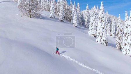 Photo for AERIAL: Young female tourist snowshoes up a snowy hill during an off piste snowboarding trip in the idyllic Slovenian mountains. Flying above a split boarder trekking uphill on a sunny winter day. - Royalty Free Image