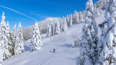 Photo for AERIAL: Active young tourist snowshoes up a snowy hill during an off piste snowboarding trip in the idyllic Slovenian mountains. Flying above a split boarder trekking uphill on a sunny winter day. - Royalty Free Image