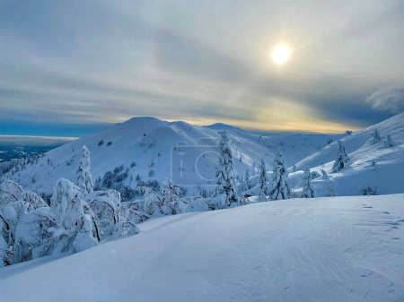 Foto de Golden winter sunshine illuminates the picturesque snowy alpine nature in Slovenia. Rural landscape in the Julian Alps covered in fresh snow is illuminated by the breathtaking rising sun. - Imagen libre de derechos