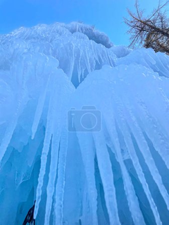 Téléchargez les photos : VERTICAL, BOTTOM UP, CLOSE UP: Close up view of the frozen formations from the bottom of a massive waterfall. Waterfall turns into a frozen wall of long white icicles in the Slovenian mountains. - en image libre de droit