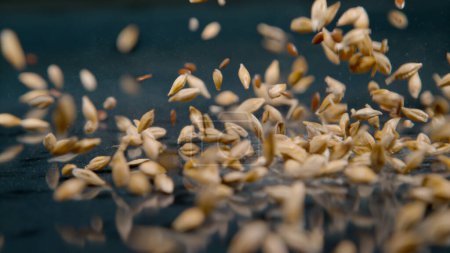 Téléchargez les photos : MACRO, DOF: A mixture of linseeds and other dried grains gets scattered across the shiny black table. Tiny seeds and grain mix falling onto the glossy countertop. Organically grown flaxseed and wheat. - en image libre de droit