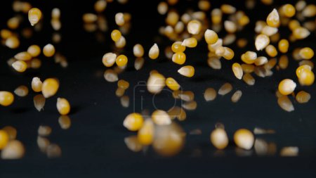 Téléchargez les photos : MACRO, DOF: Close up shot of sweetcorn kernels falling and bouncing around a polished table. Tiny yellowish popcorn kernels fall onto the shiny kitchen countertop. Tiny round popcorn seeds scatter - en image libre de droit
