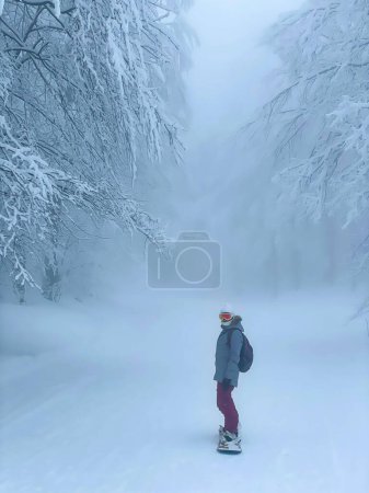Foto de VERTICAL: Young female snowboarder rides along forest trail in the Julian Alps on misty winter morning. Athletic woman on active vacation in the Slovenian mountains snowboards around the foggy woods. - Imagen libre de derechos