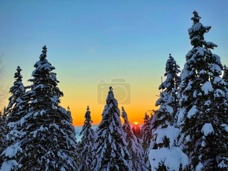 Téléchargez les photos : Scenic drone point of view of the snowy coniferous forest on a stunning winter evening. Burnt orange winter evening sky spans above the snowy pine tree canopies in the picturesque Julian Alps. - en image libre de droit