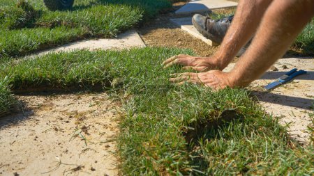 Téléchargez les photos : FERMER, FAIBLE ANGLE : Homme paysagiste coupe un morceau d'herbe avec un couteau industriel pointu tout en rénovant une arrière-cour en remplaçant les carreaux de pelouse. Entrepreneur façonne des carrés de gazon artificiel. - en image libre de droit