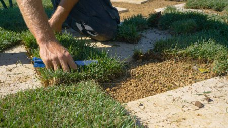 CLOSE UP, LOW ANGLE: Ein erwachsener männlicher Bauunternehmer legt ein Stück Gras zwischen zwei Betonplatten. Unerkennbare Handarbeiter ersetzen in einem modernen Hinterhof Rasenfliesen. Arbeiter renovieren den Bauhof.