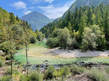 Téléchargez les photos : Breathtaking turquoise colored Soca river meanders through the lush green forest of the Bovec valley. Stunning view of the crystal clear mountain stream coursing through picturesque gorge in Slovenia. - en image libre de droit